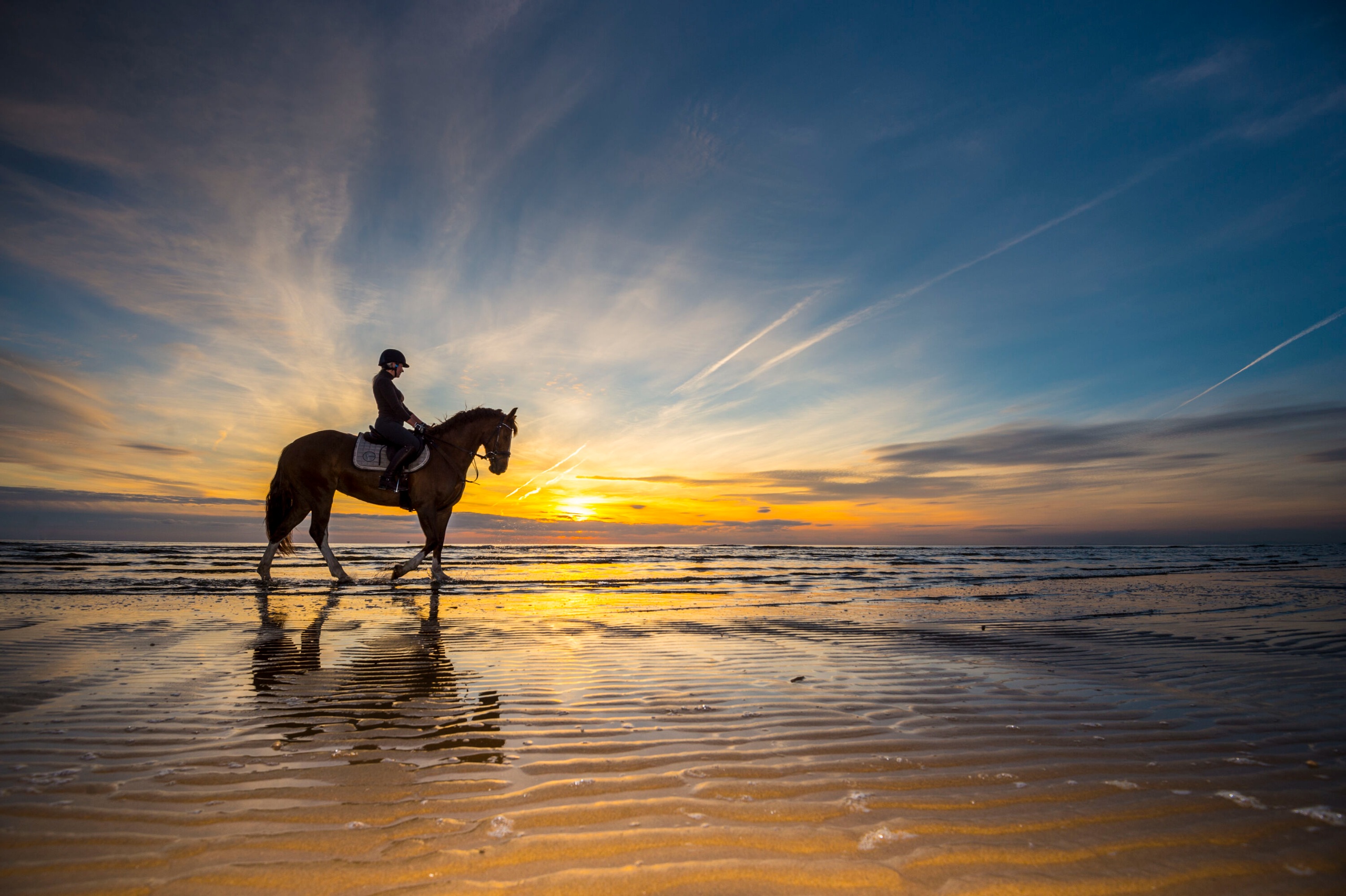 Person riding a horse on the beach with a beautiful sunset in the background