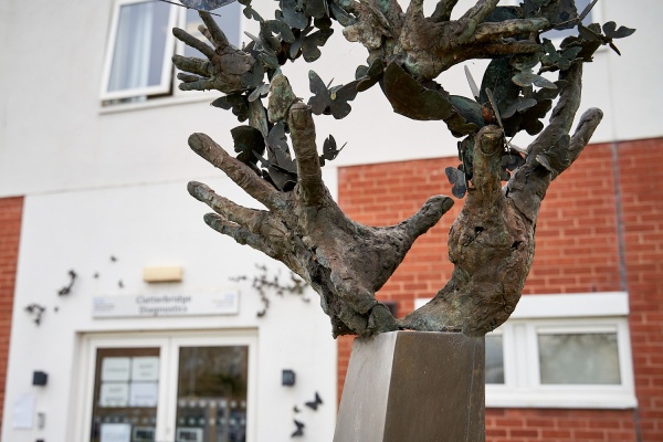 'New Life' thumbnail image