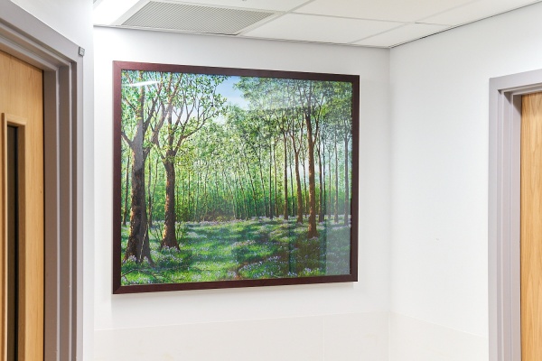 'Late Spring in The Forest' thumbnail image
