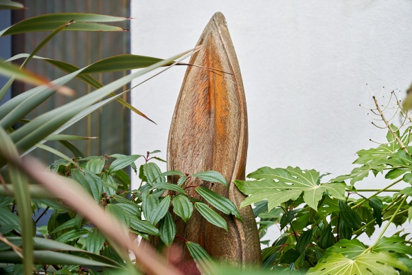 'Garden Sculpture' thumbnail image