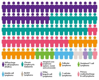 The graphic uses colours to show how common different types of non-Hodgkin lymphoma are. It shows the most common types are diffuse large B-cell lymphoma and chronic lymphocytic leukaemia. Others such as T-cell skin lymphomas are much rarer.