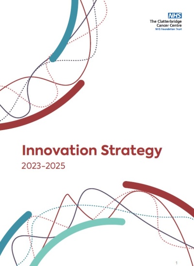 Innovation Strategy front page.jpg