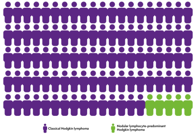 Graphic showing nodular lymphocyte-predominant Hodgkin lymphoma is far less common than Classical Hodgkin lymphoma, accounting for around 5% of cases